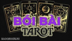 Bài tarot hôm nay 7/12/2023: Bạn nên làm gì để có niềm vui trong cuộc sống?