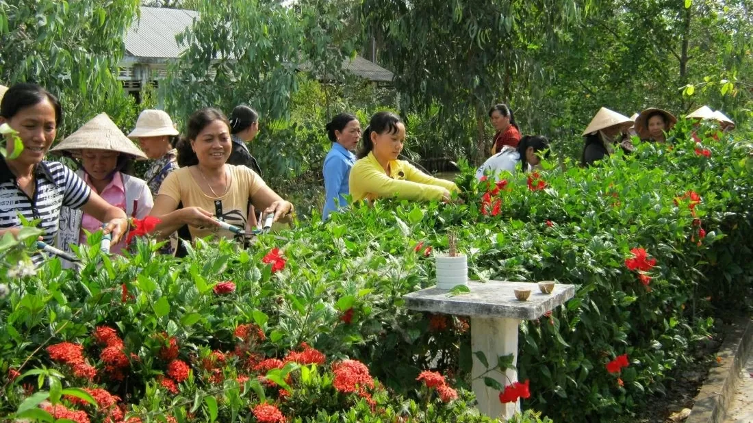 Đồng bào Khmer và công cuộc chuyển đổi số