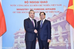 Bộ trưởng Ngoại giao Bùi Thanh Sơn thăm chính thức Trung Quốc