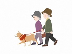 Nghiên cứu mới: Người cao tuổi có thể giảm nguy cơ mất trí nhớ tới 40% nếu nuôi chó