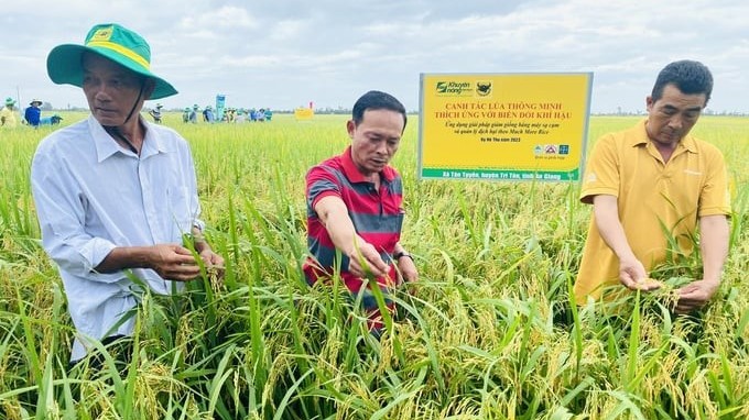 Có đến 80% nông sản xuất khẩu của Việt Nam chưa xây dựng được thương hiệu