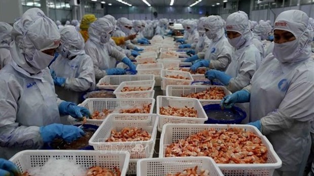 Shrimp exports to reach 3.4 billion USD in 2023: VASEP