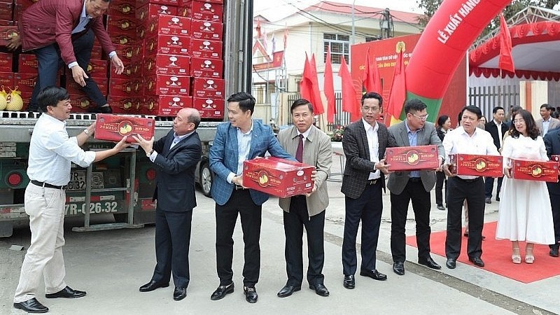Xuất khẩu ngày 4-8/12: Rau quả kiếm 'bộn tiền'; xuất nhập khẩu Việt Nam – Hoa Kỳ vượt mốc 100 tỷ USD