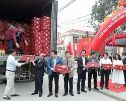 Xuất khẩu ngày 4-8/12: Rau quả kiếm 'bộn tiền'; xuất nhập khẩu Việt Nam – Hoa Kỳ vượt mốc 100 tỷ USD