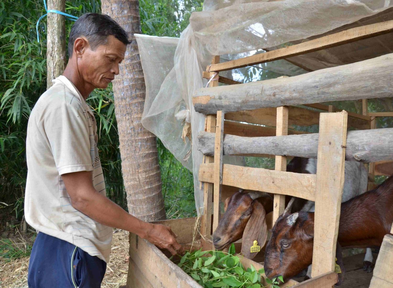 Điều chỉnh chỉ tiêu, mục tiêu, nhiệm vụ giảm tỉ lệ hộ nghèo của 5 địa phương