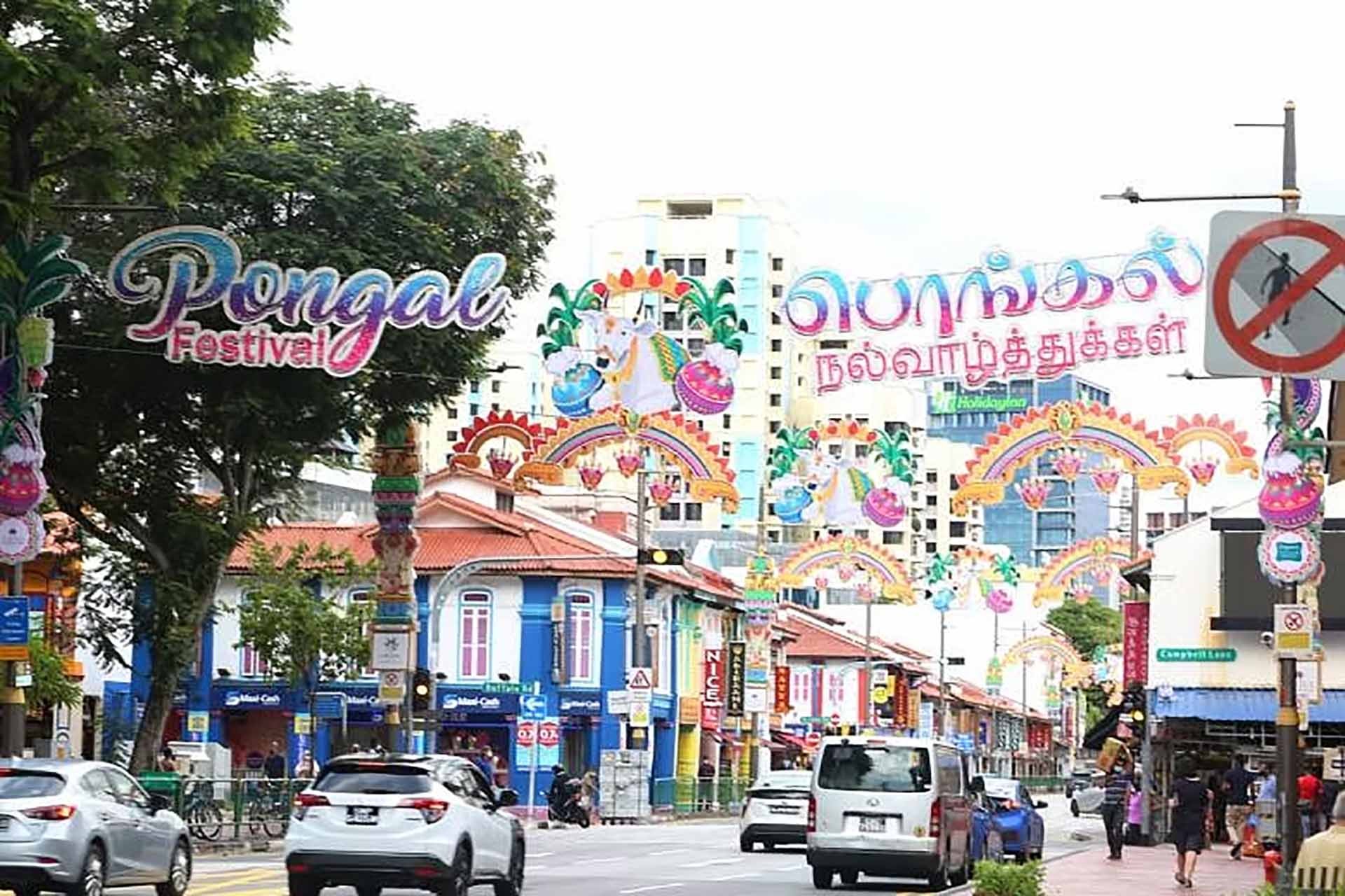Lễ hội thu hoạch Pongal. (Nguồn: Straitstimes)