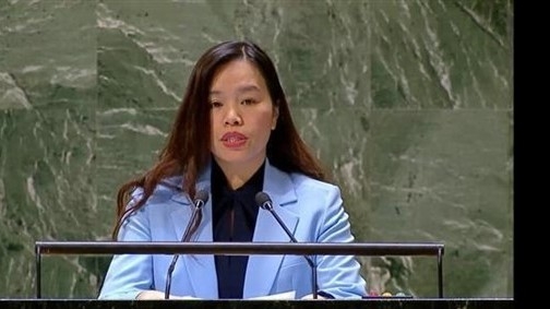 Vietnam makes urgent call for ceasefire, protection of civilians in Gaza Strip: Diplomat to UN