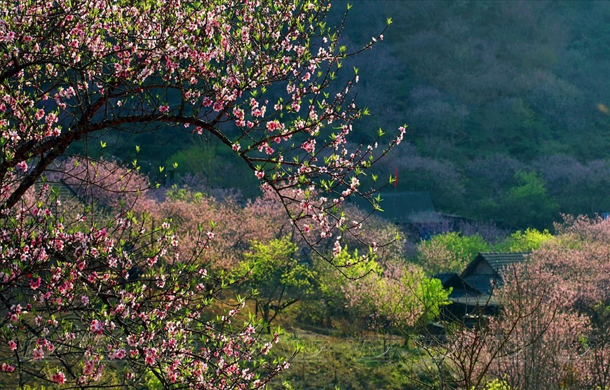 Moc Chau becomes top-listed Asia’s leading regional nature destination 2023