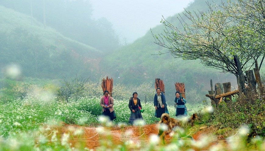 Moc Chau becomes top-listed Asia’s leading regional nature destination 2023