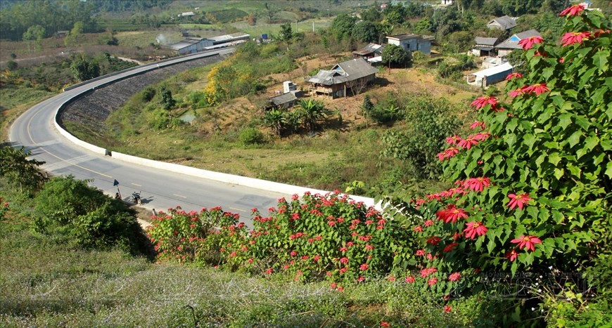 Moc Chau becomes top-listed Asia’s leading regional nature destination 2023