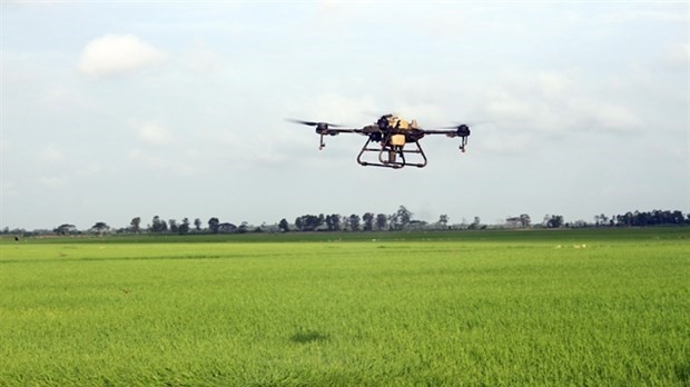 WB-funded agriculture project benefits 29,000 farmer households in Soc Trang