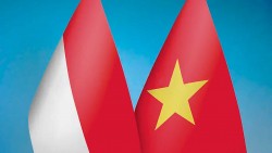 Tổng thống Indonesia thăm Việt Nam: Khi hành động và mục tiêu đều thực tế