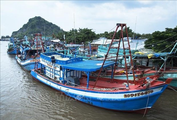 Kien Giang acts to combat IUU fishing