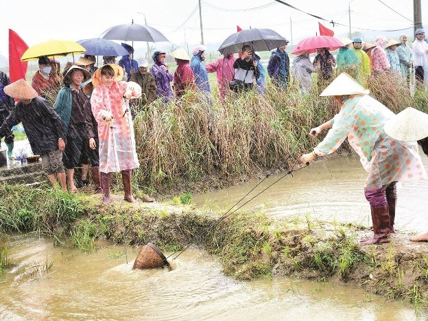 'Going to the field' festival in Hoi An attracts tourists