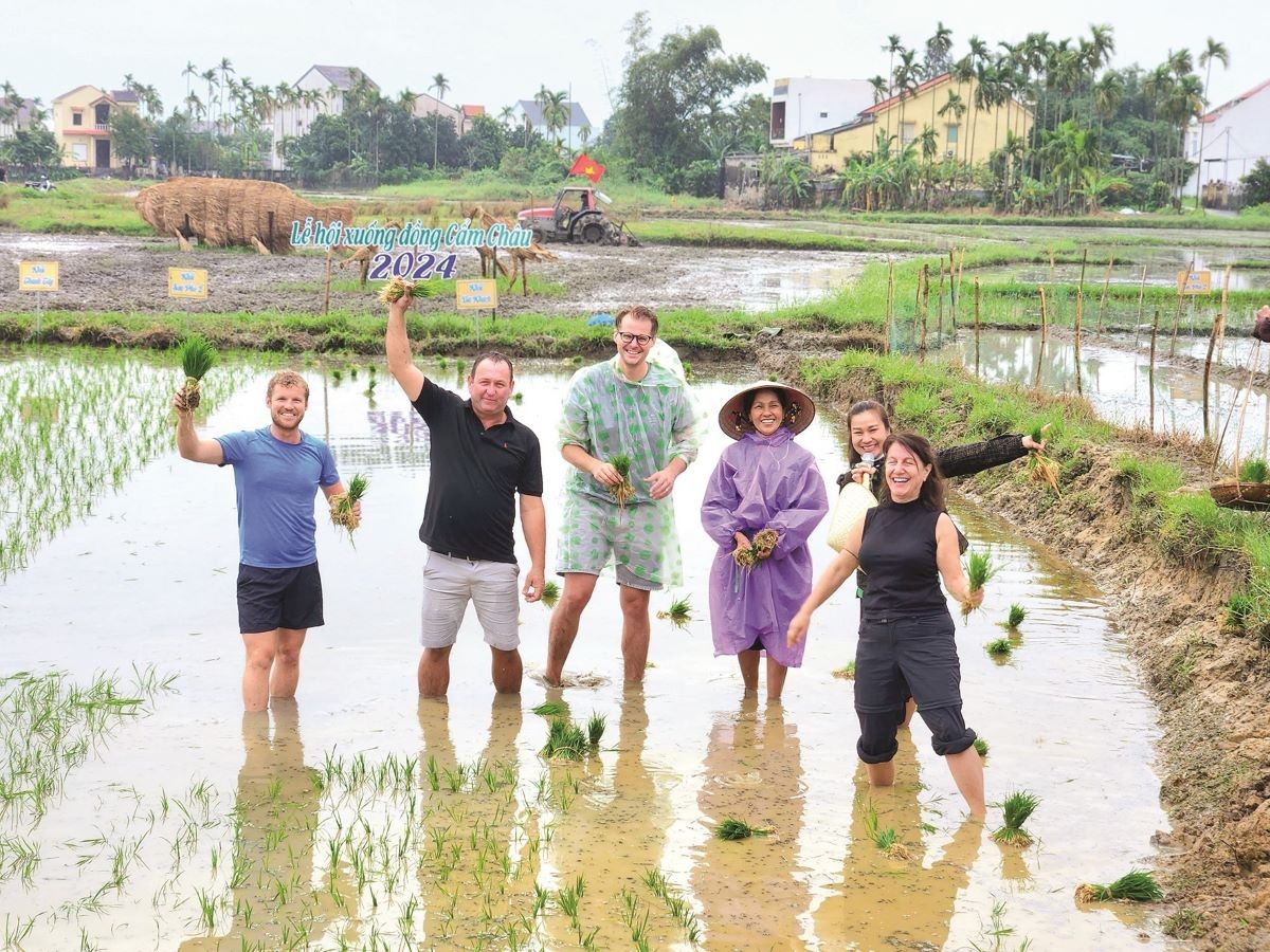 'Going to the field' festival in Hoi An attracts tourists