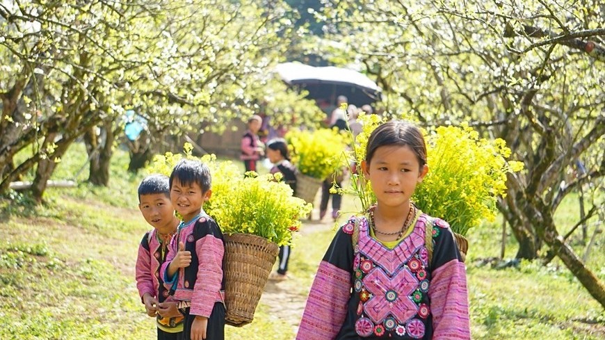 Peaceful and picturesque Moc Chau Plateau