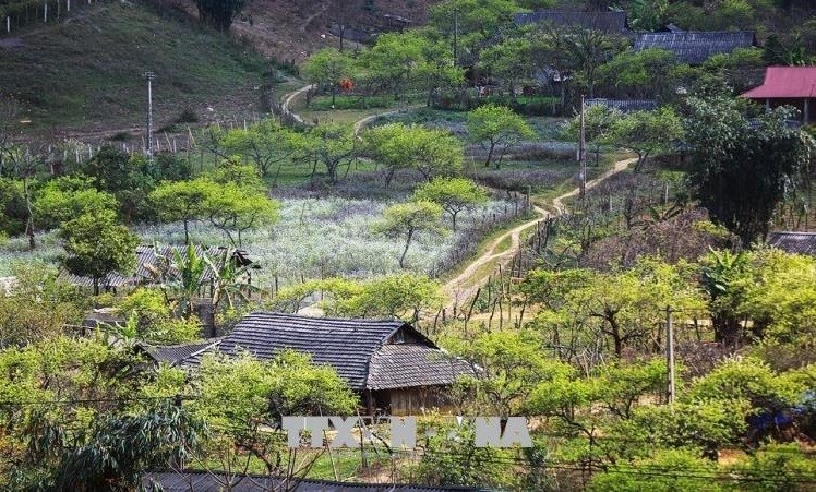 Peaceful and picturesque Moc Chau Plateau