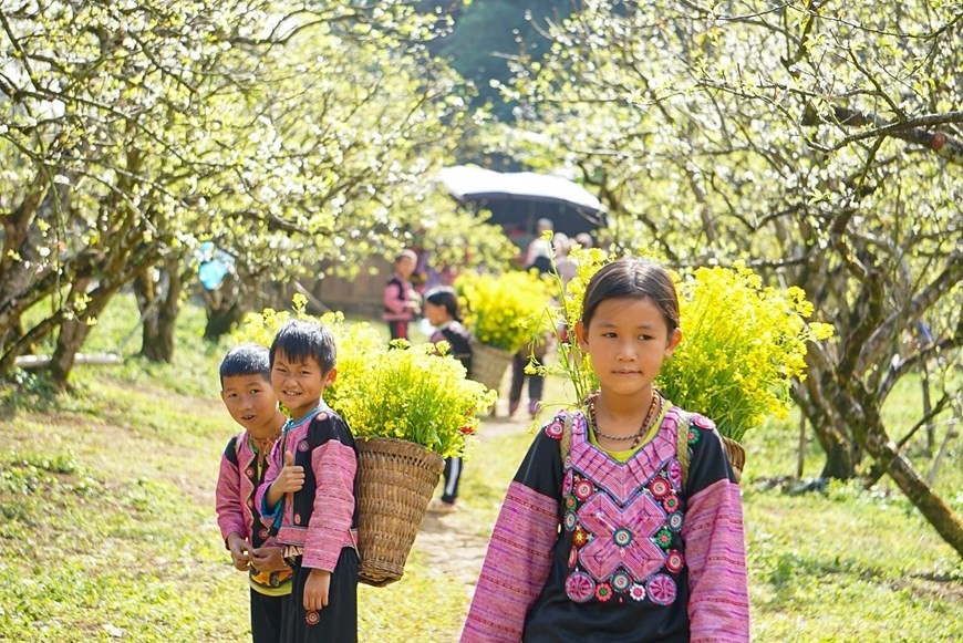 Peaceful and picturesque Moc Chau Plateau Peaceful and picturesque Moc Chau Plateau