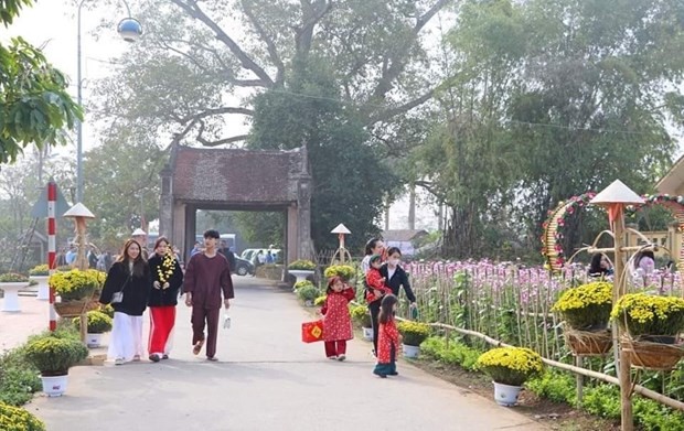 Experiencing Vietnamese Tet in Duong Lam Ancient Village