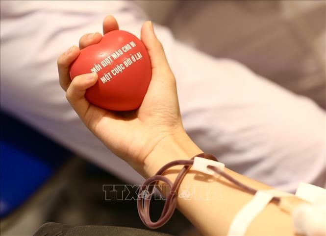 30 năm phong trào hiến máu tình nguyện: Hành trình nhân ái kết nối dòng máu Việt