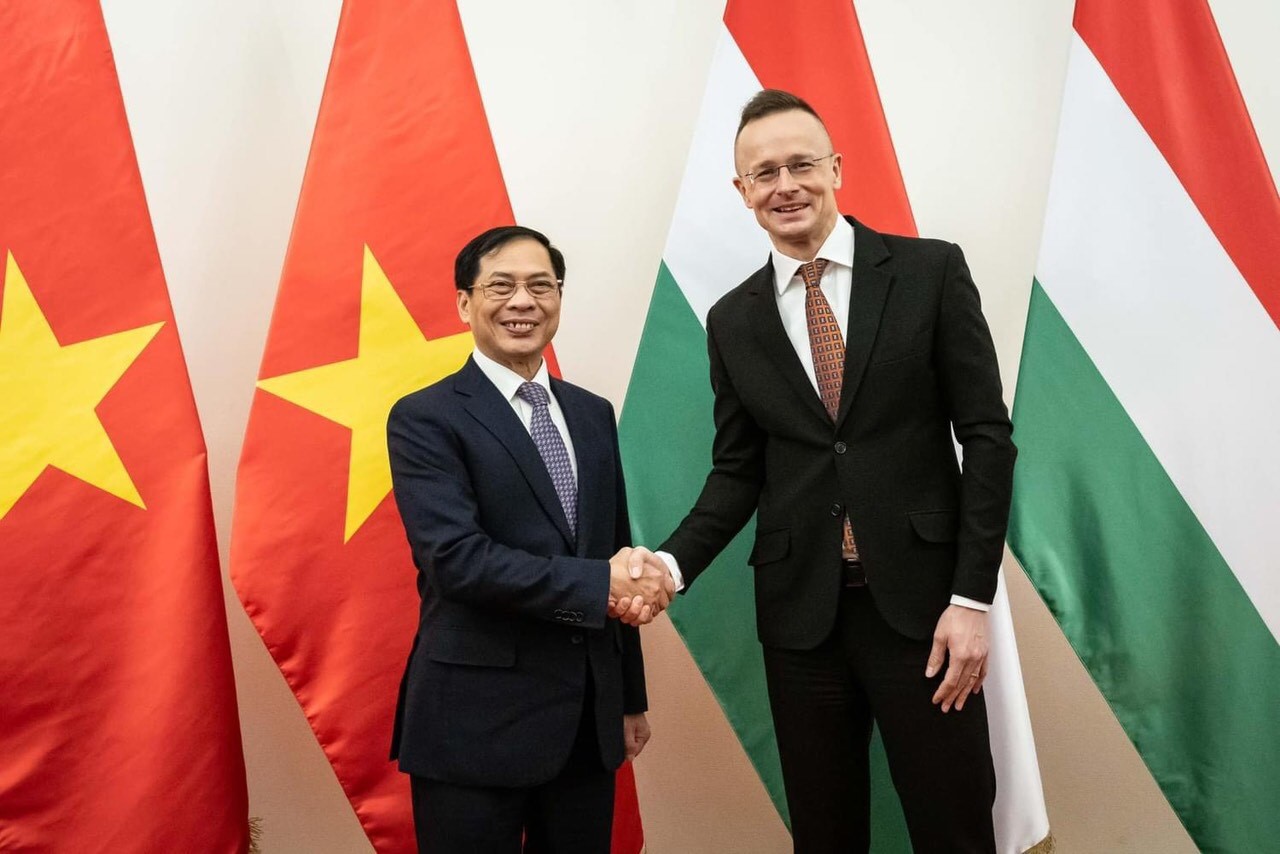 Bộ trưởng Ngoại giao Bùi Thanh Sơn trao đổi các biện pháp thúc đẩy quan hệ Việt Nam-Romania, Việt Nam-Hungary