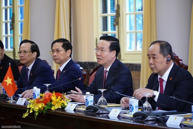 President Vo Van Thuong, German President Frank-Walter Steinmeier hold talks in Hanoi