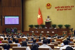 Bảo đảm quyền công dân cho người gốc Việt không quốc tịch