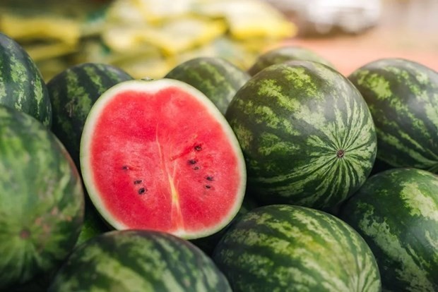 Protocol expected to raise Vietnamese watermelon shipments to China