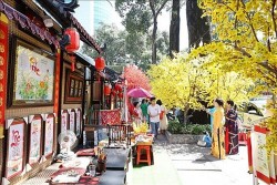 Vietnamese Tet Festival kicks off in Ho Chi Minh City