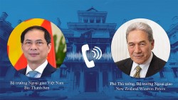 Bộ trưởng Ngoại giao Bùi Thanh Sơn điện đàm với Phó Thủ tướng, Bộ trưởng Ngoại giao New Zealand