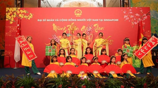 Tiết mục biểu diễn của cộng đồng người Việt tại Singapore. Ảnh: Lê Dương - Pv TTXVN tại Singapore