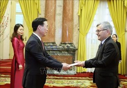 President Vo Van Thuong hosts new, outgoing Ambassadors