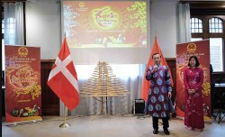 Xuân Quê hương 2024 tại Đan Mạch: Đầm ấm và sum vầy