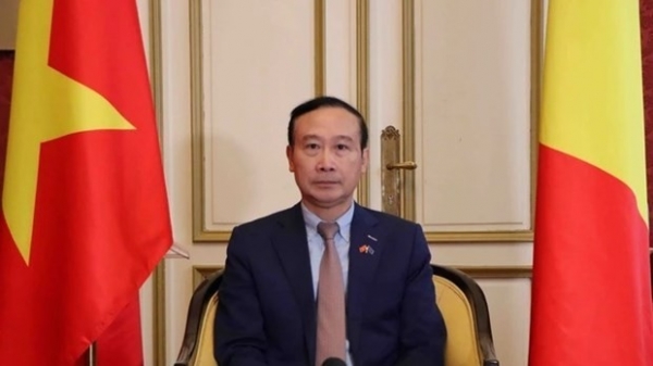 Foreign Minister’s trip to promote Vietnam’s ties with EU, Belgium: Ambassador