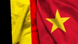 Những cột mốc trong quan hệ Việt Nam-Bỉ