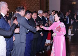 Lãnh đạo TP. Hồ Chí Minh gặp gỡ cơ quan đại diện nước ngoài nhân dịp Tết Giáp Thìn