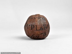 Anh: Câu chuyện về quả chanh khô 285 năm tuổi và được bán đấu giá