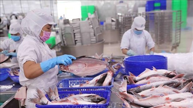 Vietnam’s export revenue up 4.1% in first half of January