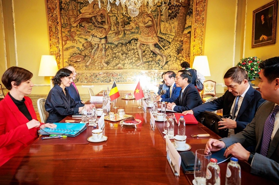 Foreign Minister Bui Thanh Son meets with Belgium leaders in Brussel