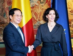 Đưa hợp tác nhiều mặt Việt Nam - Bỉ đi vào chiều sâu, thiết thực, hiệu quả
