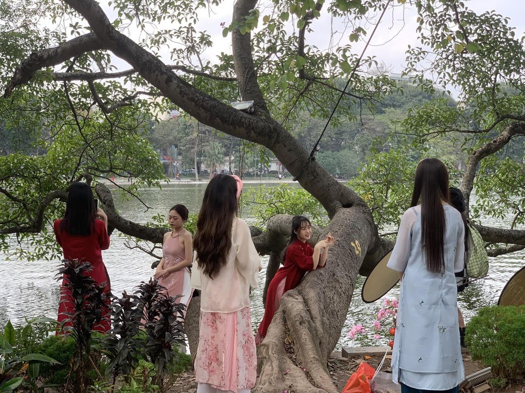 Các cô gái trẻ 'bắt trend' chụp ảnh áo dài đón Tết, 'nhuộm' sắc Xuân khắp phố phường Hà Nội