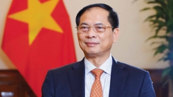 Bộ trưởng Ngoại giao Bùi Thanh Sơn sắp thăm chính thức Hàn Quốc