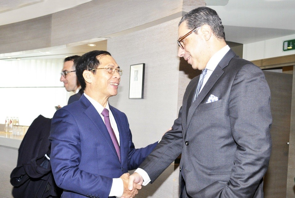 Foreign Minister Bui Thanh Son meets Foreign counterparts in Brussels