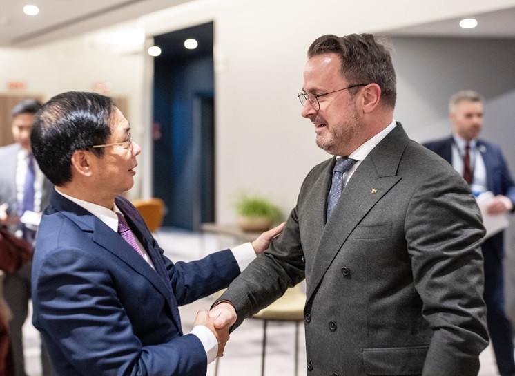 Luxembourg cam kết phối hợp với Việt Nam triển khai hiệu quả Thỏa thuận Đối tác chiến lược về tài chính xanh