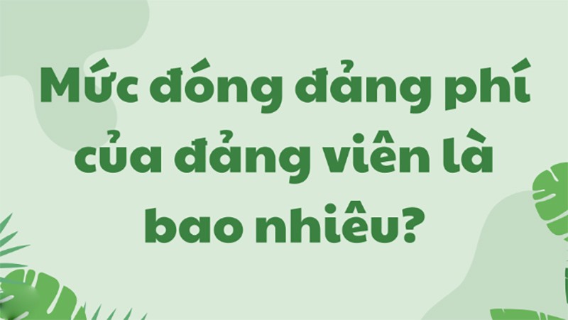 Mức đóng đảng phí của đảng viên mới nhất 2024