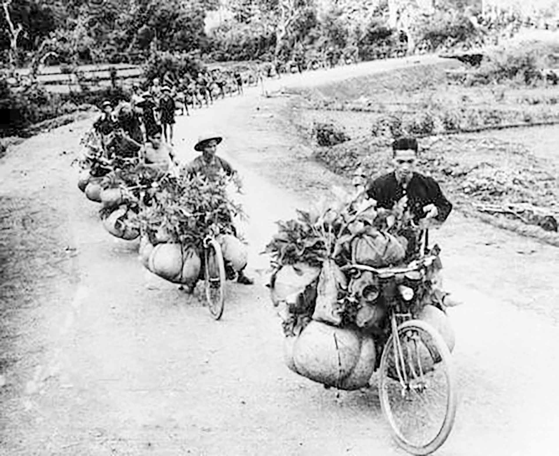 Dân công dùng xe đạp thồ phục vụ chiến dịch Điện Biên Phủ. (Nguồn: TTXVN)