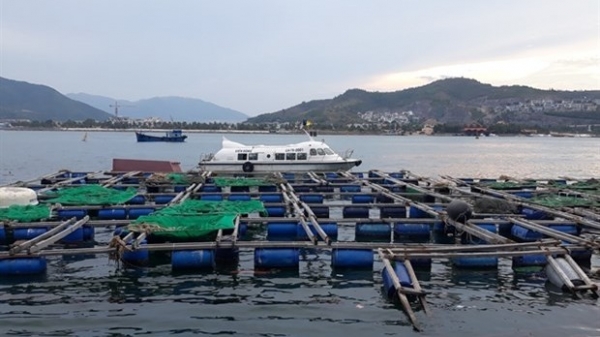 Khanh Hoa seeks green light for high-tech marine farming project