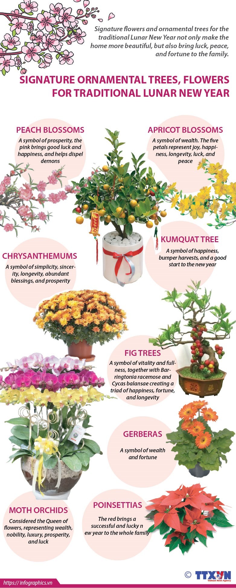 Signature ornamental trees, flowers for traditional Lunar New Year