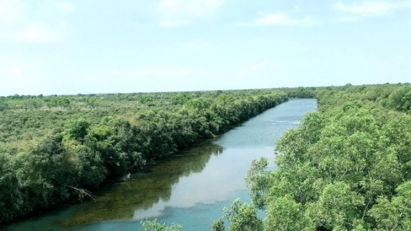 Dong Thap Muoi conservation and ecotourism area upgraded by Sao Mai Group