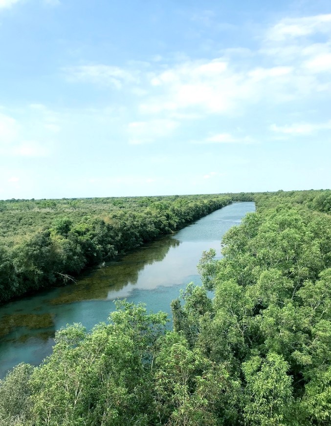 Jointly develop Dong Thap Muoi conservation and ecotourism area